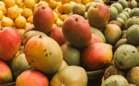 Suman 99 lotes de mango infestados con larvas en Oaxaca