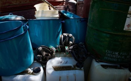 Redes de narcotráfico: UIF y EU intensifican acciones contra el crimen organizado