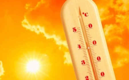 El fenómeno de El Niño: ¿La tormenta perfecta para el clima global?