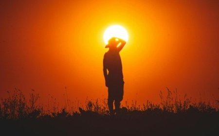 Veracruz en la Mira: ¿Cómo Afecta la Ola de Calor de 2026 a Sus Habitantes?