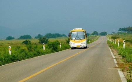 Tragedia en Panamá: Cuatro miembros de una familia pierden la vida en accidente vial