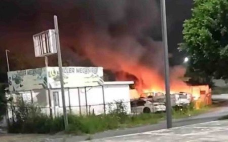 Alerta de Violencia en Reynosa: ¿Qué Implica el Arresto del 'Metro 9'?