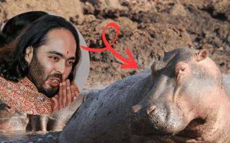 Anant Ambani y su intento de salvar los hipopótamos de Colombia