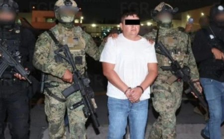 Amparo a 'El Jardinero': ¿Qué significa para el narcotráfico en México?