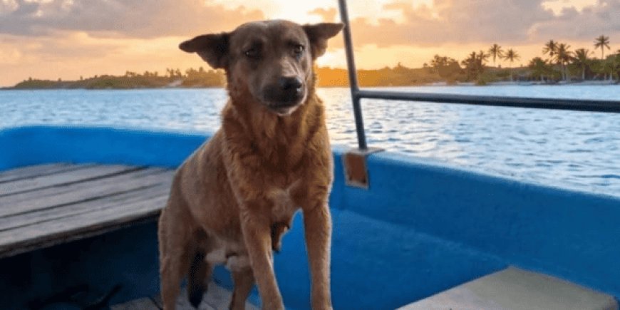 La trágica muerte de Beni: un llamado a la conciencia social