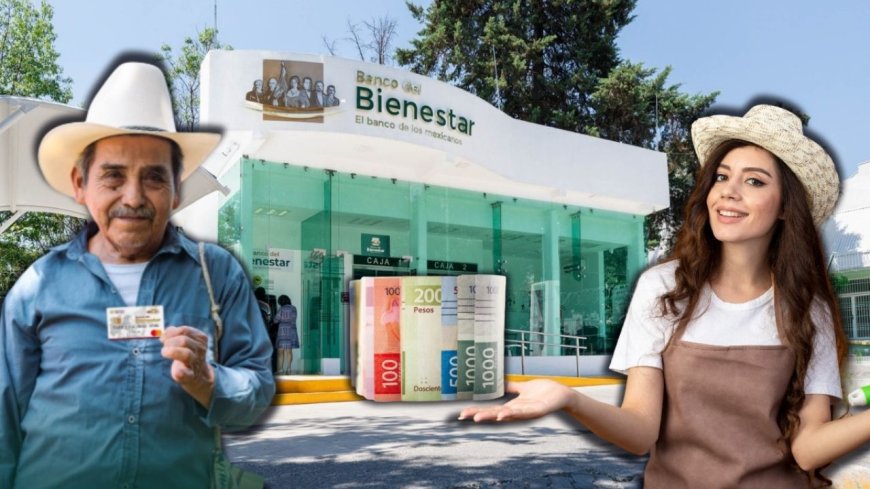 Apoyo económico del Banco del Bienestar para 2026: ¿Cómo acceder?