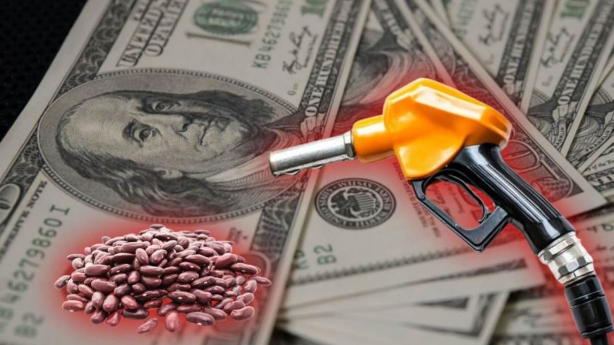 Impacto de la Inflación en el Costo de Vida: Un Análisis Actual