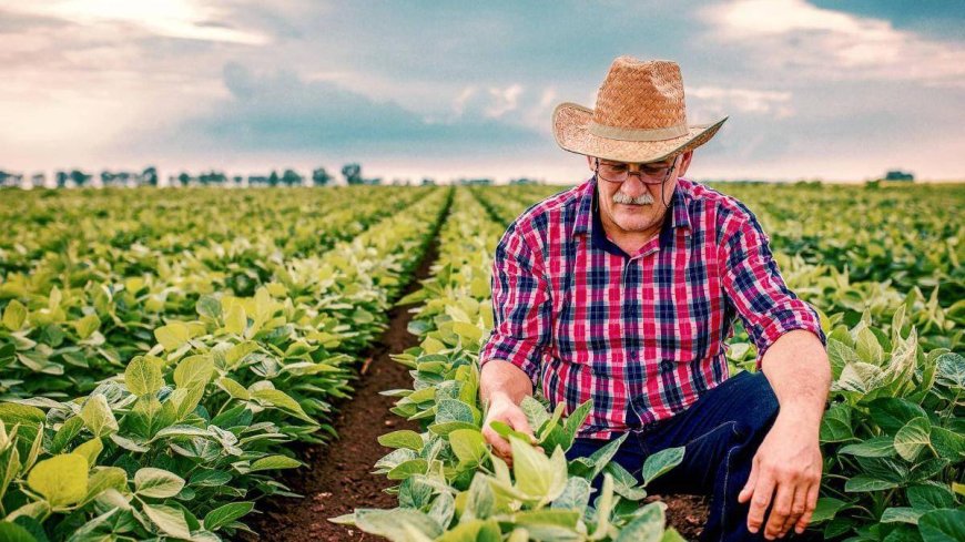 Cuba da un paso decisivo hacia la apertura económica agrícola