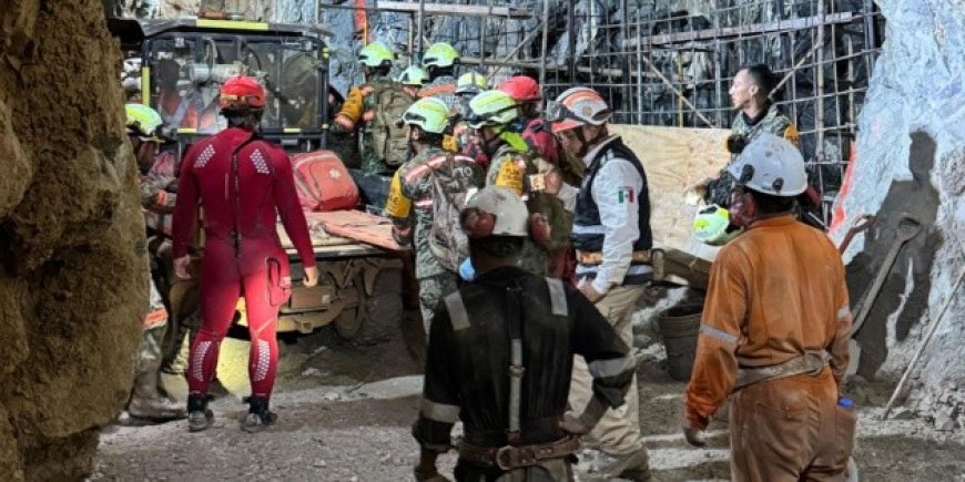 El regreso a la vida de Francisco Zapata: un respiro de esperanza