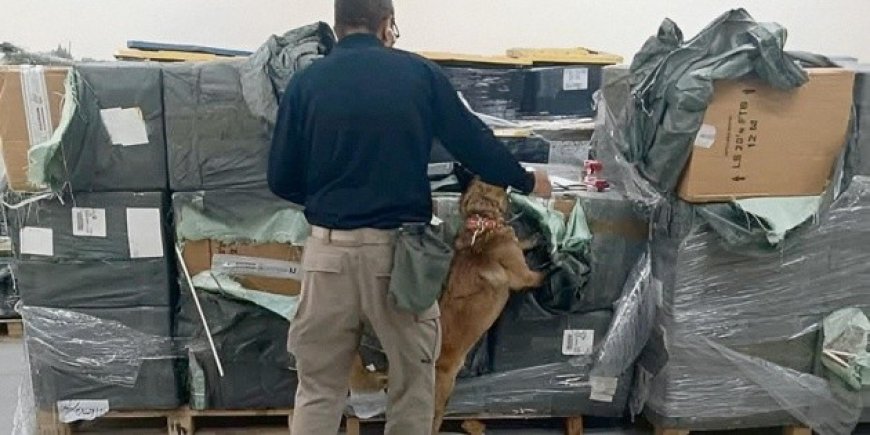 El impacto de los cigarros apócrifos en la economía mexicana