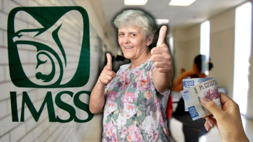 Guía completa para solicitar préstamos del IMSS para pensionados