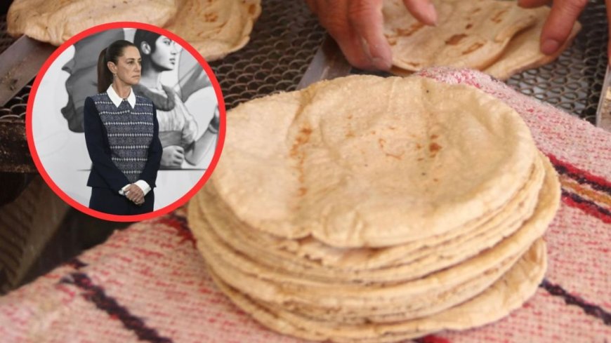 El aumento del precio de la tortilla: un reto para la economía mexicana