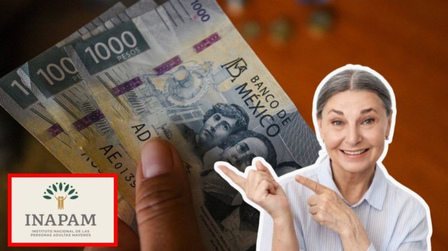 El INAPAM y su Impacto en la Vida de los Adultos Mayores en México