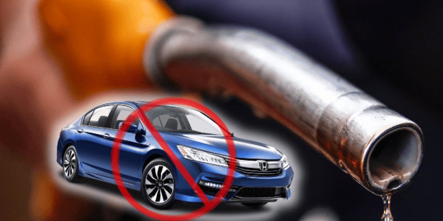 La importancia de elegir la gasolina correcta para tu auto en 2026