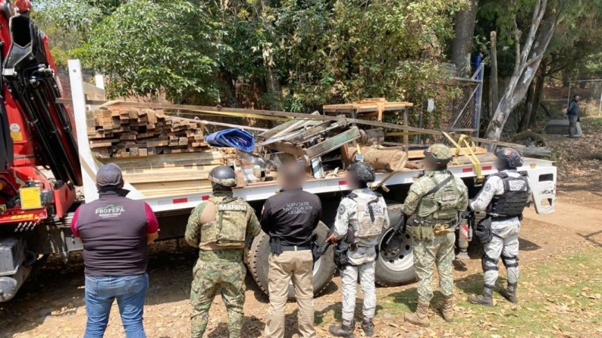 Desmantelamiento de aserradero ilegal en Huitzilac: un paso hacia la conservación