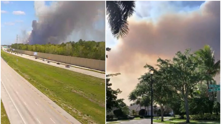 Emergencia en Florida: un incendio forestal amenaza comunidades y ecosistemas