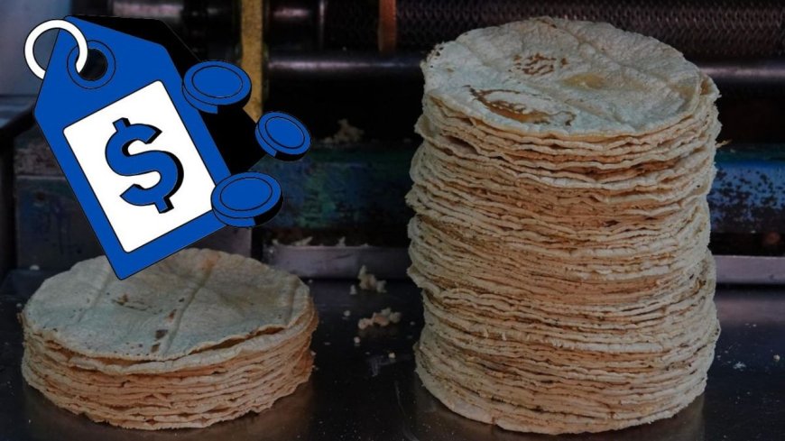 Análisis del precio de la tortilla en México: ¿realmente hay motivos para el aumento?