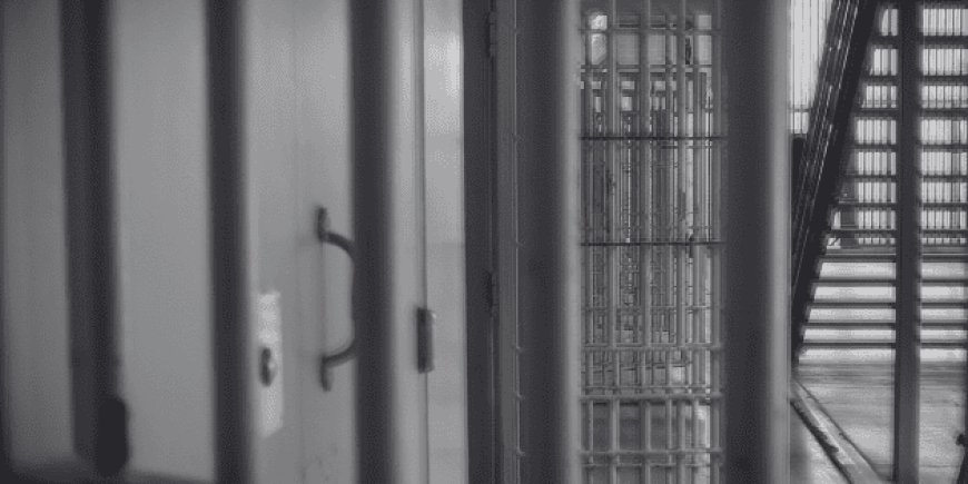 La lucha contra el feminicidio: un caso emblemático en Sinaloa