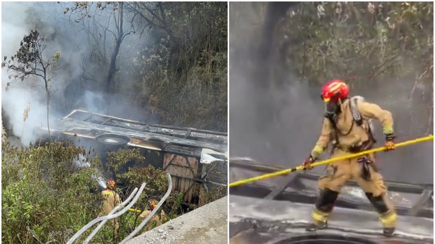 Tragedia en Ecuador: Un Llamado a la Seguridad Vial Urgente