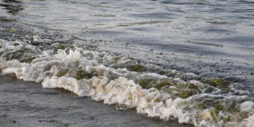 El impacto de la fuga de Pemex en el Golfo de México