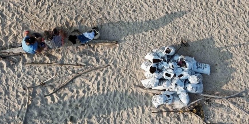 Crisis ambiental en el Golfo de México: la responsabilidad de Pemex