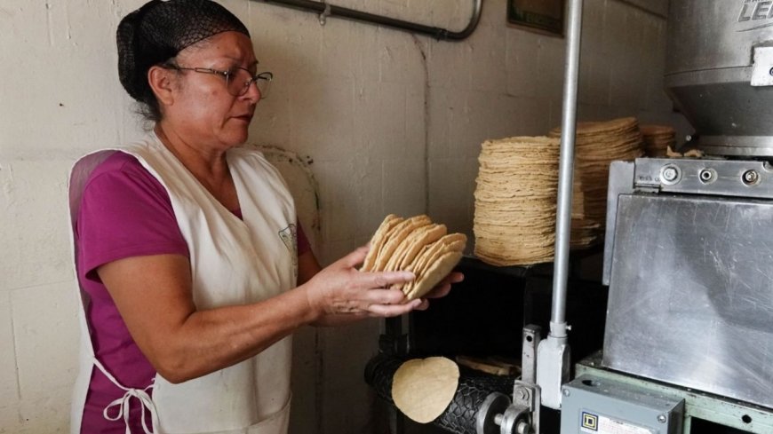 Compromiso por la tortilla: un acuerdo vital para la seguridad alimentaria