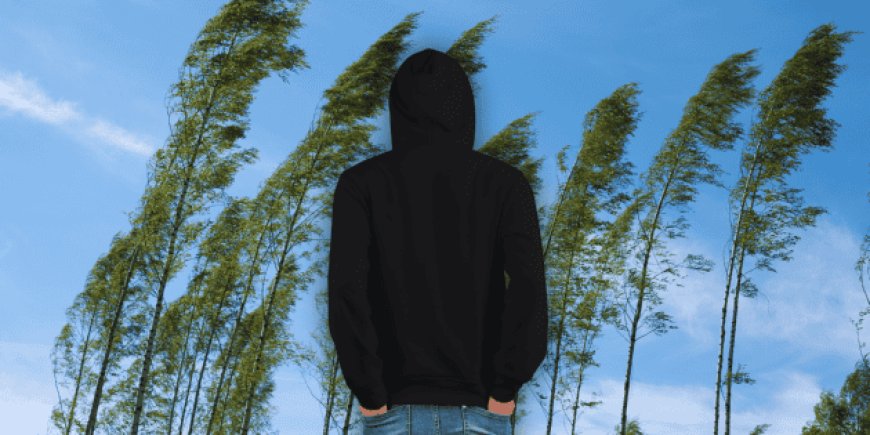 Clima extremo en México: Frente frío 45 trae caos y contrastes