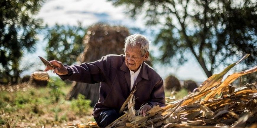 Impacto de la Guerra en Medio Oriente en la Economía Mexicana