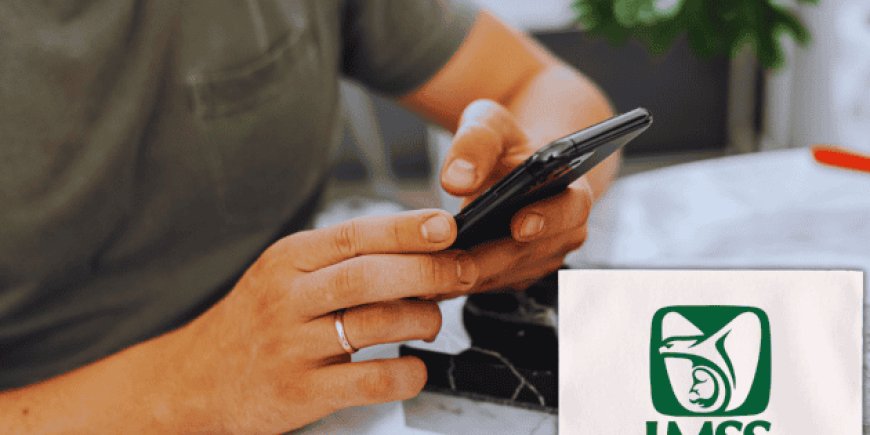 Cómo obtener la constancia de vigencia del IMSS en minutos