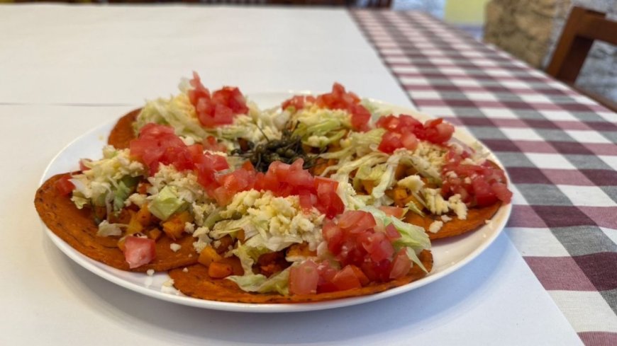 Explorando la rica gastronomía de Tamaulipas: un viaje de sabores