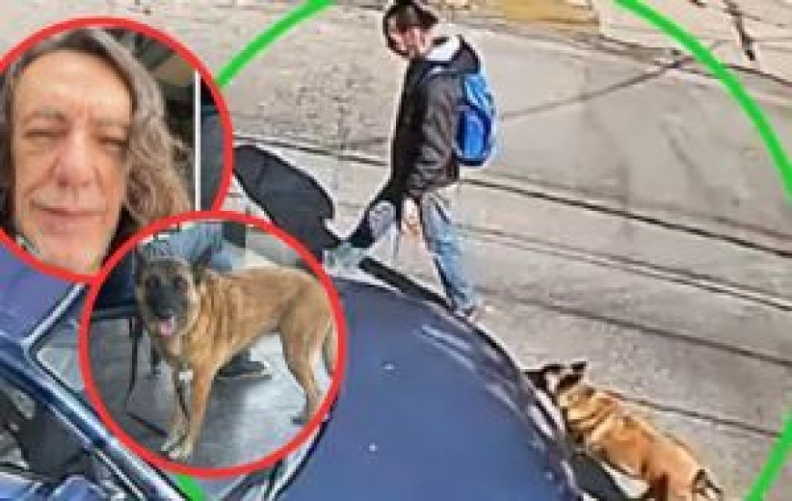 Tragedia en el Paseo: Encuentran Sin Vida a Hugo Basurto y Su Perrito Tras Meses de Búsqueda