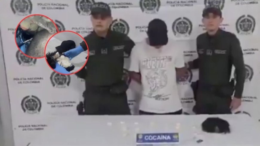 Descubren “narcopeluca”, hombre intentó trasladar un kilogramo de droga dentro de su peluquín