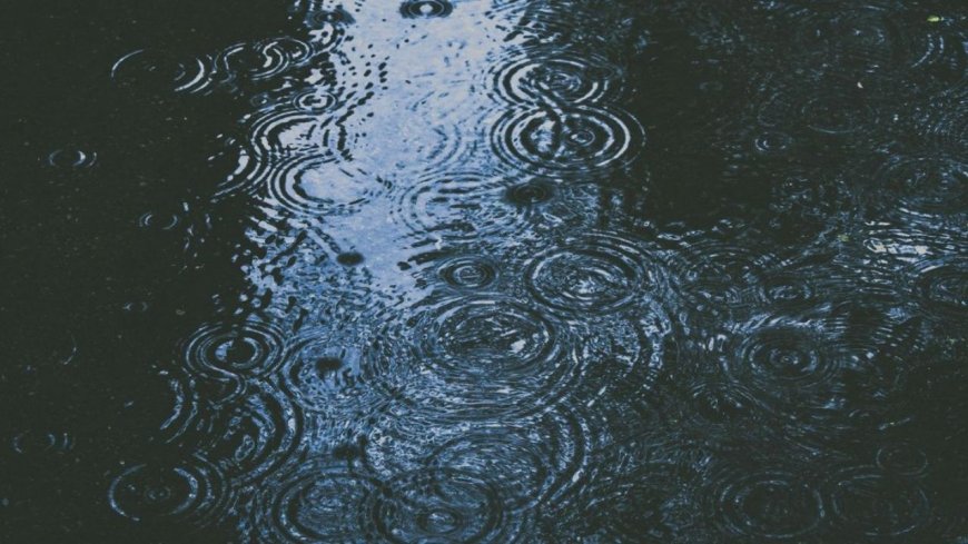 Pronóstico del clima en Veracruz para este lunes 20 de abril con ambiente frío