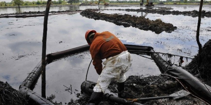 Oceana califica de "insuficiente" gestión de Pemex por derrame de hidrocarburo en México