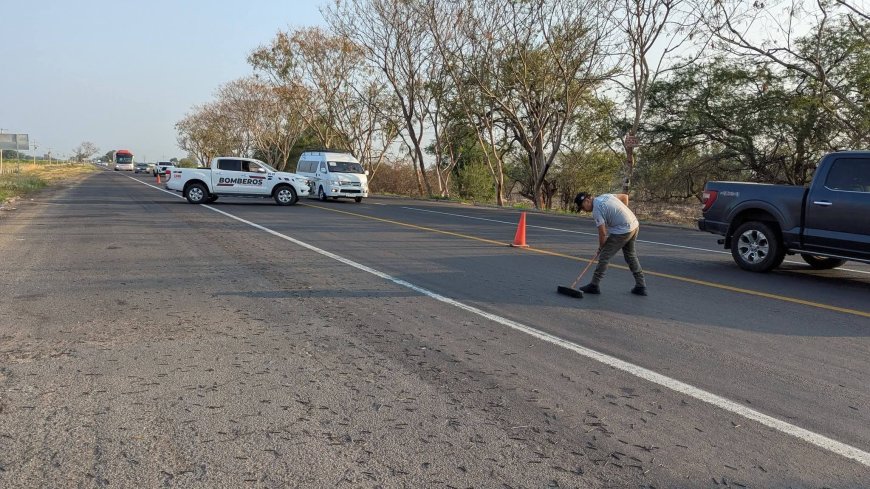 Realizan limpieza en carretera libre tras hallazgo de clavos en el asfalto
