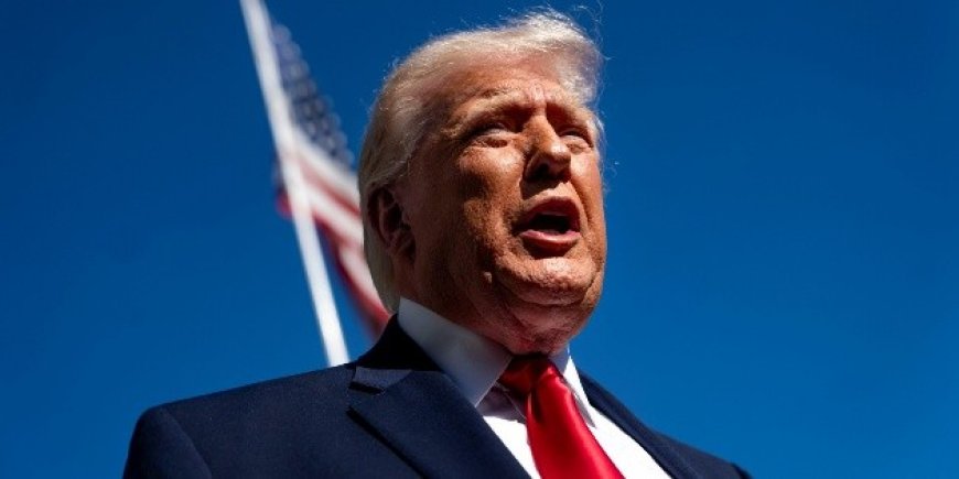 Trump firma orden para impulsar terapias con psicodélicos en salud mental