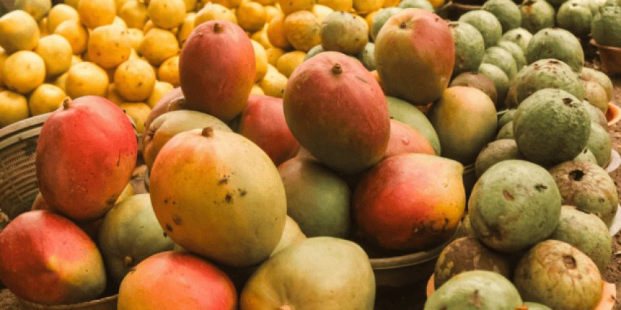 Suman 99 lotes de mango infestados con larvas en Oaxaca