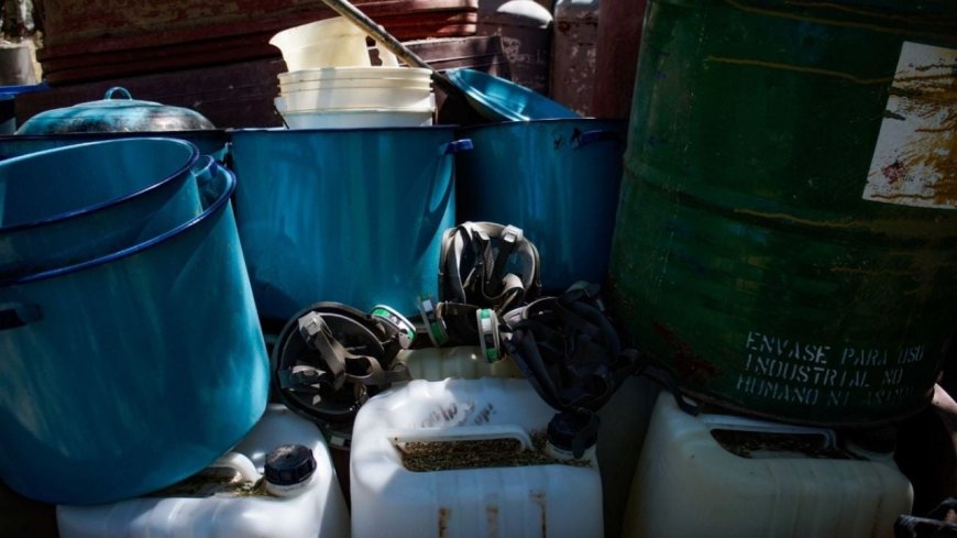 Redes de narcotráfico: UIF y EU intensifican acciones contra el crimen organizado