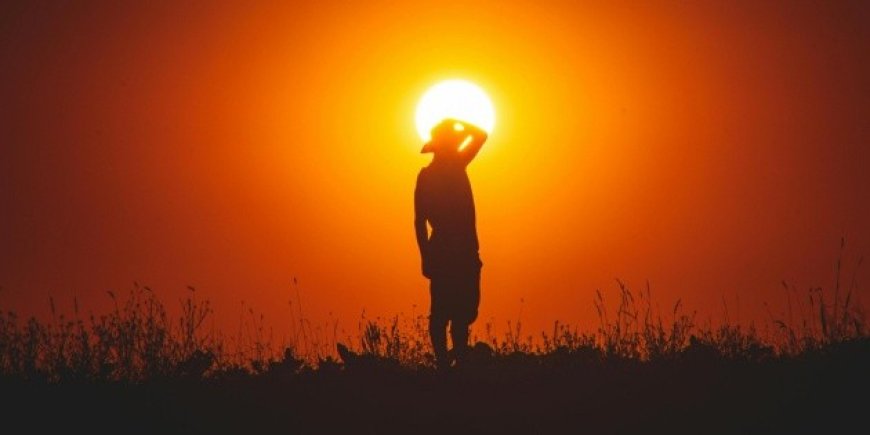 Veracruz en la Mira: ¿Cómo Afecta la Ola de Calor de 2026 a Sus Habitantes?