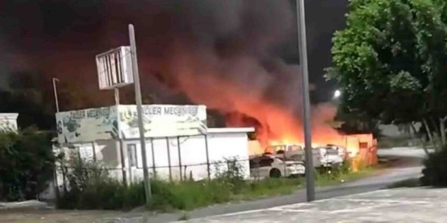 Alerta de Violencia en Reynosa: ¿Qué Implica el Arresto del 'Metro 9'?