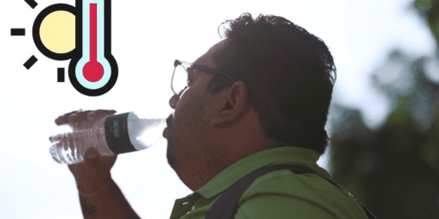 Ola de calor en México: ¿Cuándo terminará este fenómeno extremo?