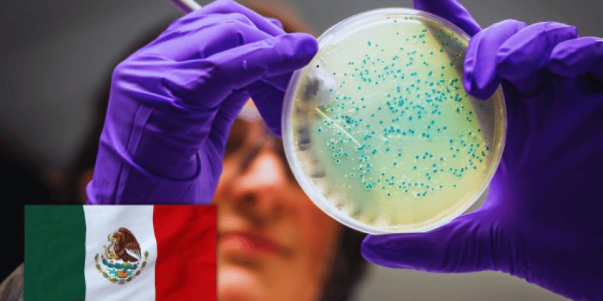 El 70% de los académicos en México: una crisis que frena el avance científico