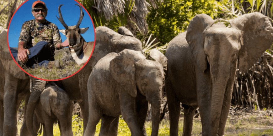 La trágica muerte de un millonario cazador y la ética del safari