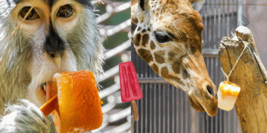 Cómo los zoológicos de CDMX ayudan a los animales a sobrellevar el calor