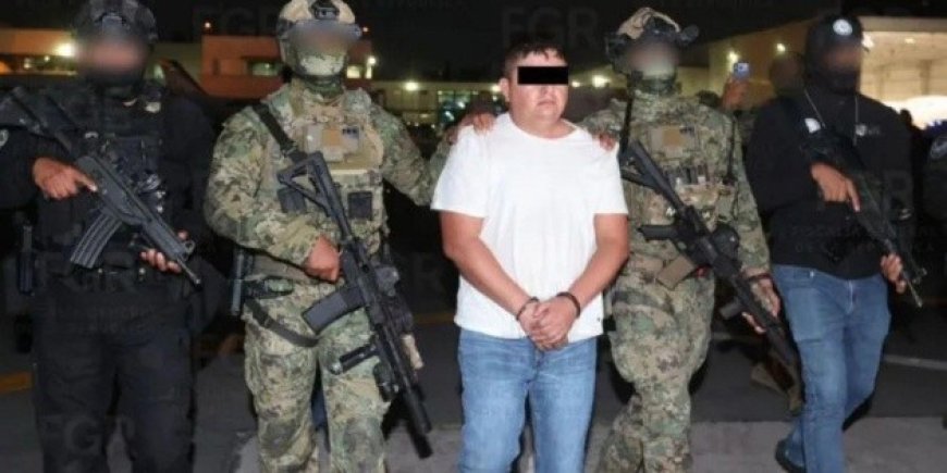Amparo a 'El Jardinero': ¿Qué significa para el narcotráfico en México?