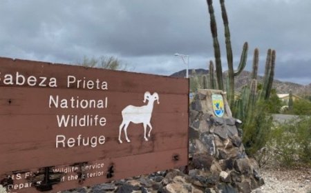 Destrucción de Sitio Arqueológico en Arizona: Un Efecto Colateral del Muro Fronterizo de Trump