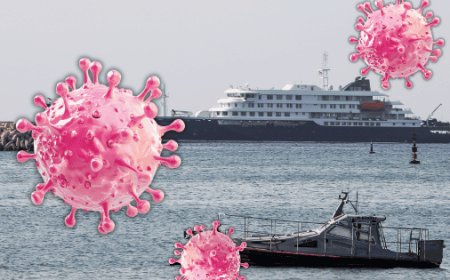 Impactante brote de hantavirus en crucero provoca tres muertes en el Atlántico