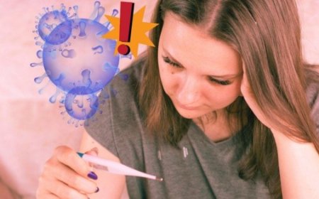 Hantavirus: ¿Qué es y cuáles son sus síntomas en humanos?