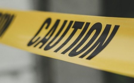 Tiroteo en la Casa Blanca: Un incidente que sacude la seguridad presidencial
