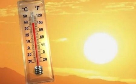 Ola de calor en México: ¿Cómo enfrentar las temperaturas extremas?